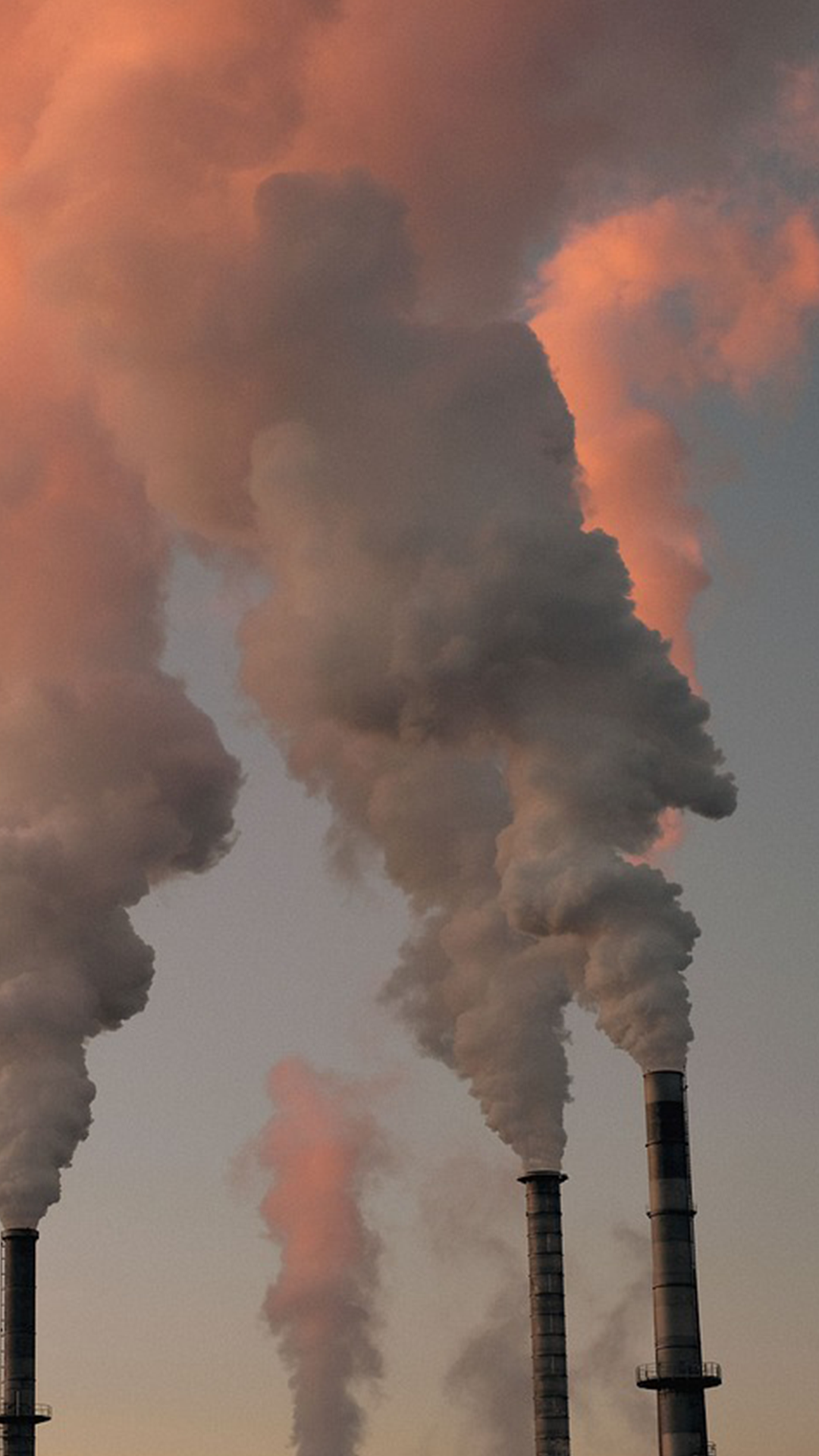image-pollution
