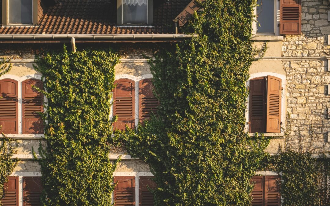 Pourquoi les diagnostics immobiliers sont-ils indispensables aujourd’hui ?