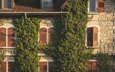 Pourquoi les diagnostics immobiliers sont-ils indispensables aujourd’hui ?